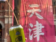 -天津五大道文化旅游区