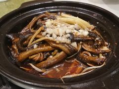 响油鳝糊-古南都·老广东酒楼(龙江店)