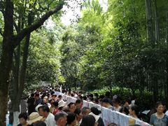 -杭州黄龙洞