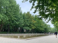 -玲珑塔公园