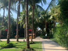 -三亚湾海居铂尔曼度假酒店