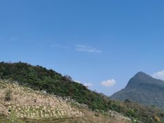 -九皇山景区