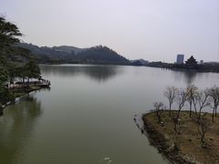 -顺峰山公园