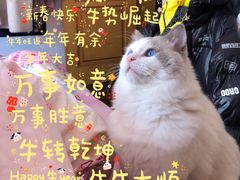 -魔方剧情密室(徐汇店)