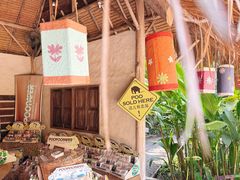 -大象粑粑造纸公园