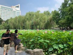 -莲湖公园