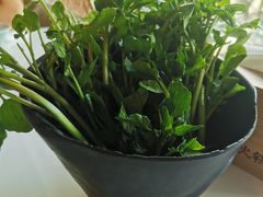 -东椰·海南椰子鸡火锅(朝阳门店)