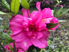 -广州白江湖森林公园