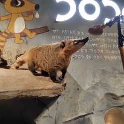 -Zoolung Zoolung动物主题公园(海信广场店)