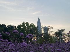 -深圳湾公园(南山区)