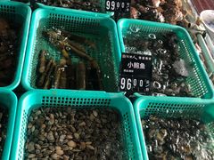 -浩运·海鲜青岛菜·海胆水饺(石老人店)
