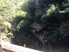 -莫干山风景区