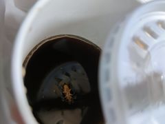 -肯德基(南五店)