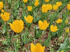 -长春公园(普阳街道)