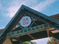 -上海海湾国家森林公园