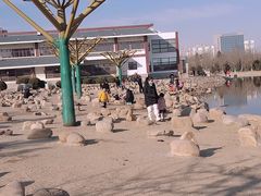 -绿岛公园(滨海新区)