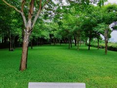-深圳湾公园(南山区)