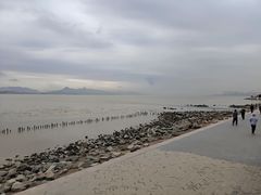 -深圳湾公园(南山区)