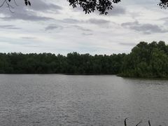 -大湾区中央湿地公园