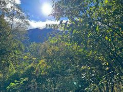 -叠溪松坪沟景区