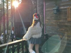 -洛阳白云山景区