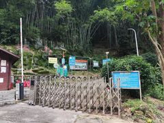 -天鹿湖森林公园