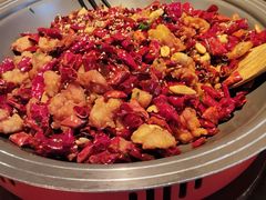 -向川南·水煮鱼·川菜(和平里店)