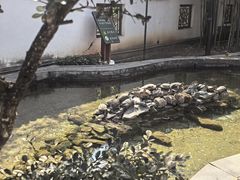 -红螺寺