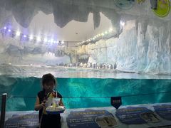 -帝企鹅自助餐厅•儿童岛•真企鹅(长隆企鹅酒店)