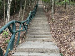 -梧桐山风景名胜区