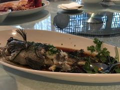 -外高桥喜来登酒店采悦轩