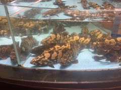 -渔傅·霞浦滩涂海鲜(建平店)