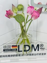 -白月光皮肤管理·德国LDM