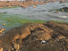 -青岛第三海水浴场