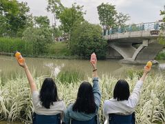 -上海长兴岛郊野公园