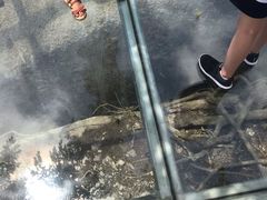 -三亚湾红树林度假世界(木棉酒店)