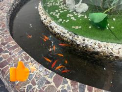 -纵享怡月月子中心(西稍门店)