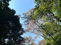 -广州市白云山风景名胜区