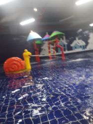 -宝燕水乐园