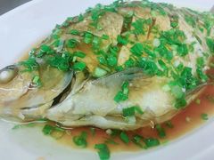 -刘胖子家常菜·蹄花焖藕(兴业店)