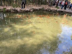 -竹泉村旅游度假区