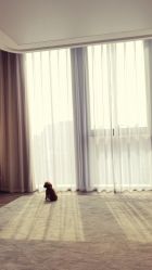 -青柠美妆工作室(正弘城店)
