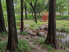 -陈家山荷花公园