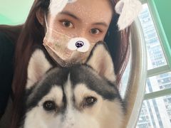 -Husky Go! 哈士奇体验馆·宠物咖啡厅狗咖