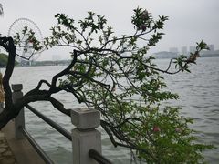-无锡蠡湖国家湿地公园-蠡园