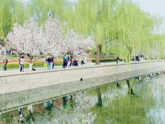 -元大都城垣遗址公园