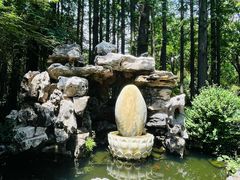 -上海醉白池公园