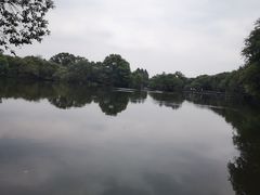 -西湖游船