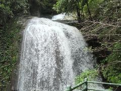 -大鄣山卧龙谷景区