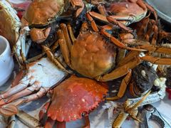 -半岛听涛蒸汽海鲜自助(K11店)